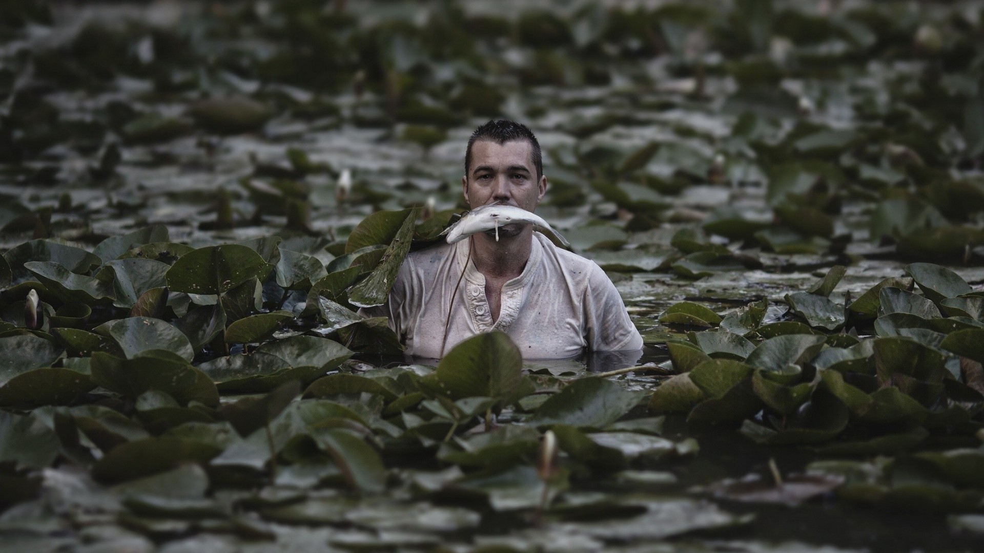 feuille pêche capture