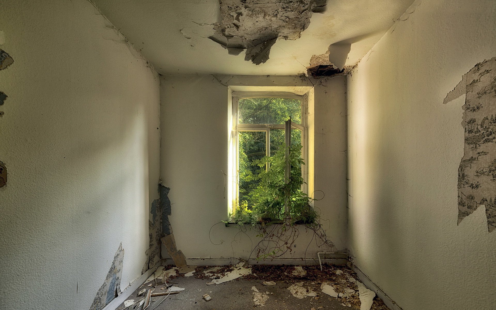 chambre fenêtre verdure