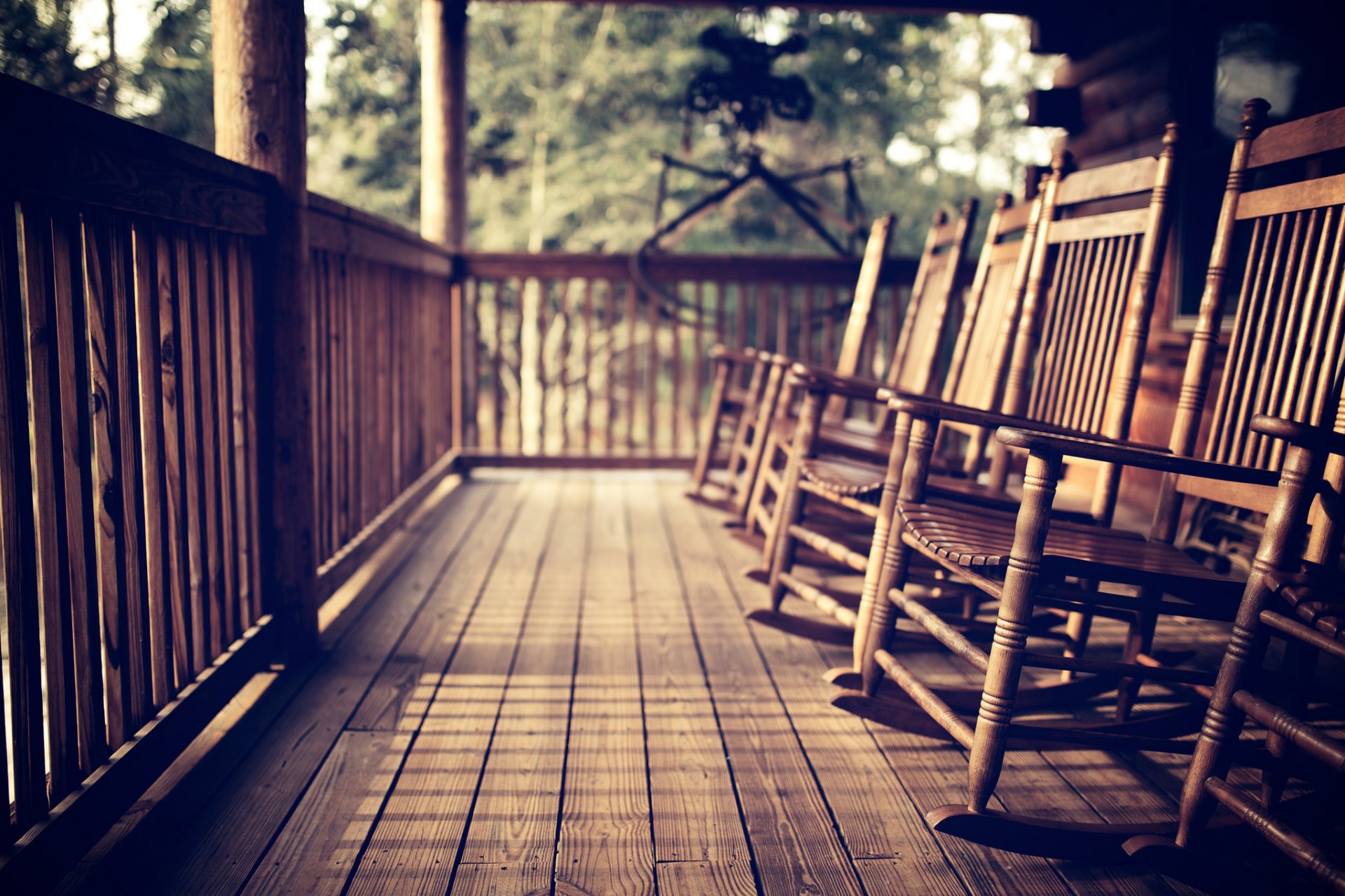 chairs tree verandah