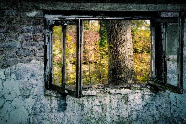 Fenêtre d une pièce effrayante à un bel automne