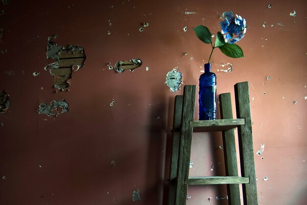 Ladder shelf flower vase