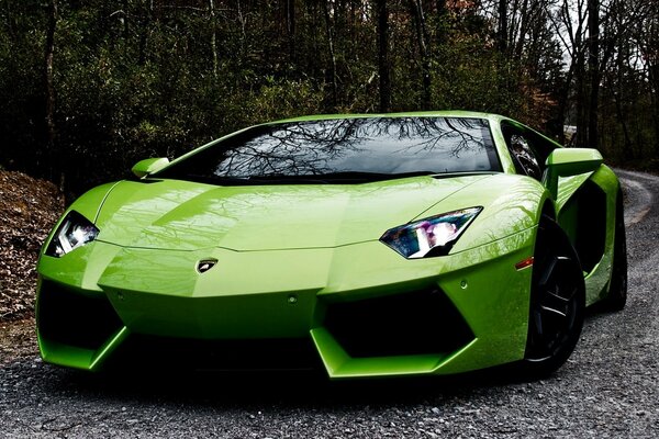 Lamborghini Aventaror sports car in green