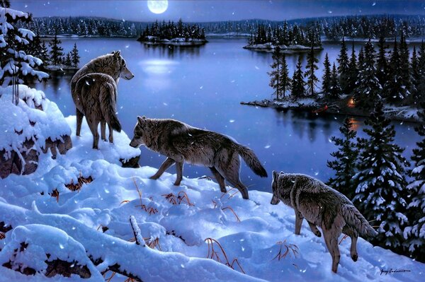 Стая голодных волков на заснеженном лесном склоне у подножья синего озера