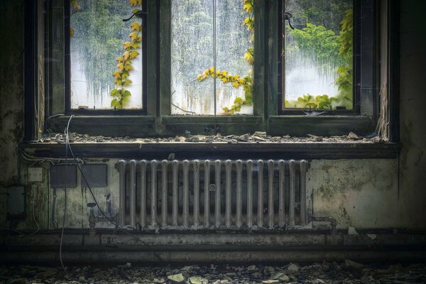 An abandoned old room with trees peeking out of the window