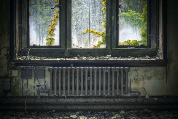 Opuszczony stary pokój z drzewami wyglądającymi przez okno