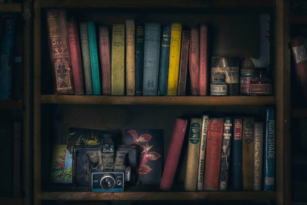 Bücherregale mit alten Fotos