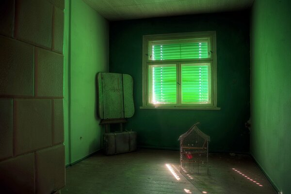 A small green room with a cage