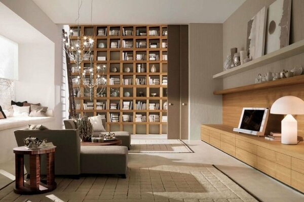 Interior of a living room with a library