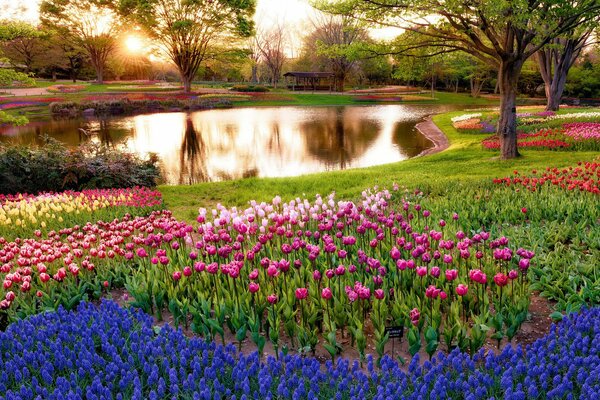 Lago con alberi, Fiori blu e cremisi