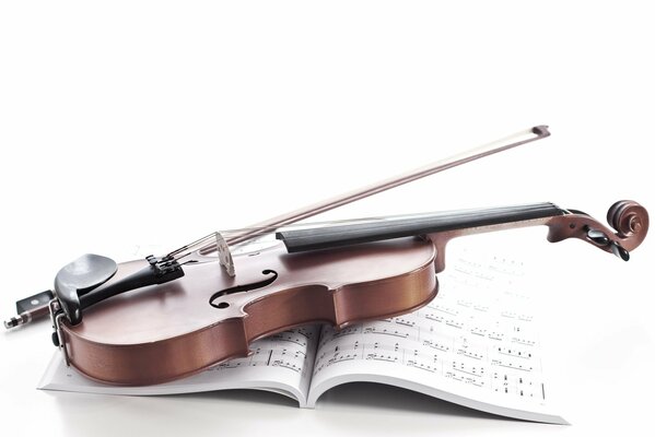 A violin on a notebook with notes. White background