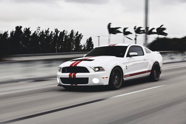 Ford Mustang white with red stripes