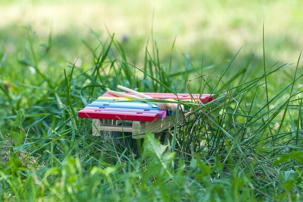 Children s musical instrument on the green grass