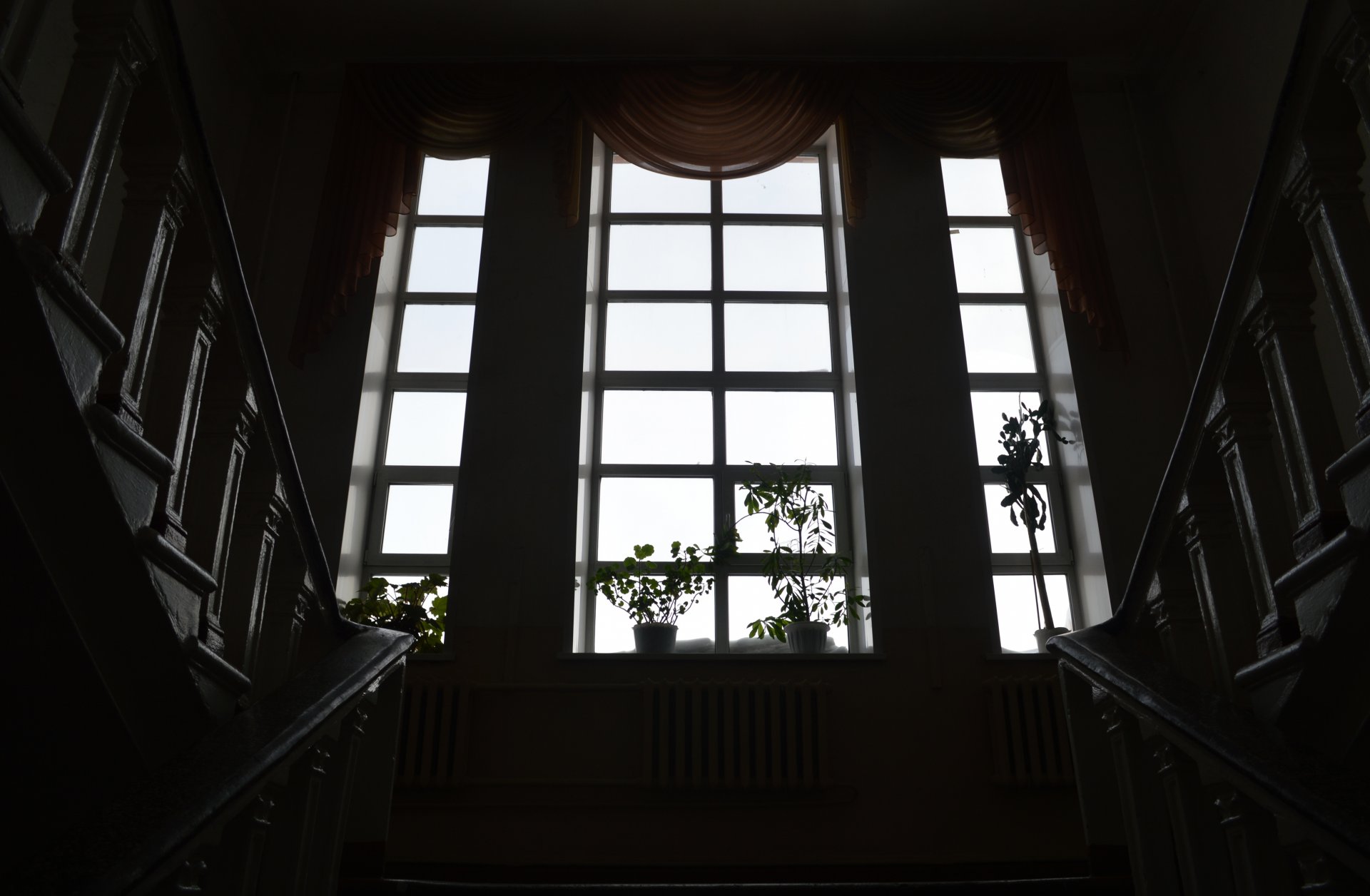 ventana escalera flores alféizar de la ventana cortinas