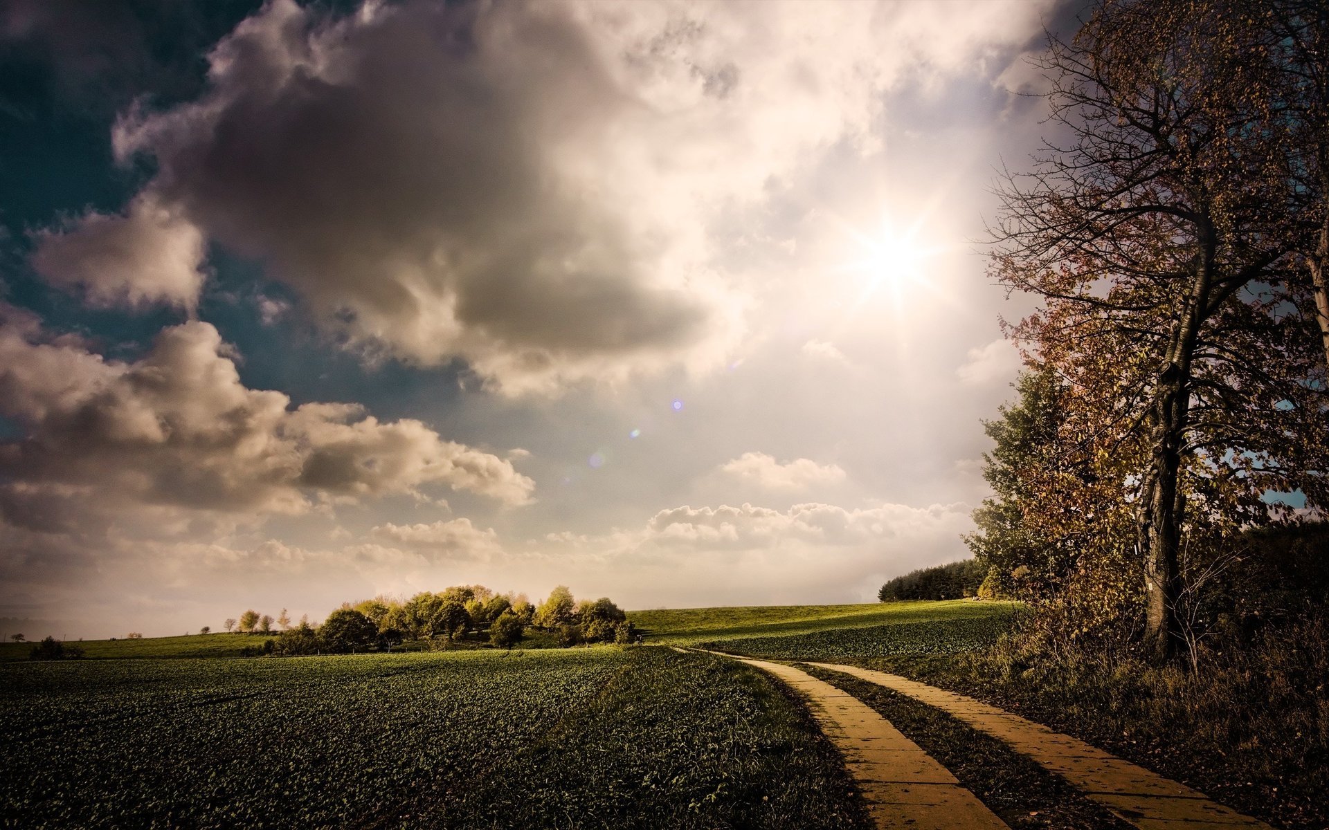 nature chemin montagne ciel nuages arbres