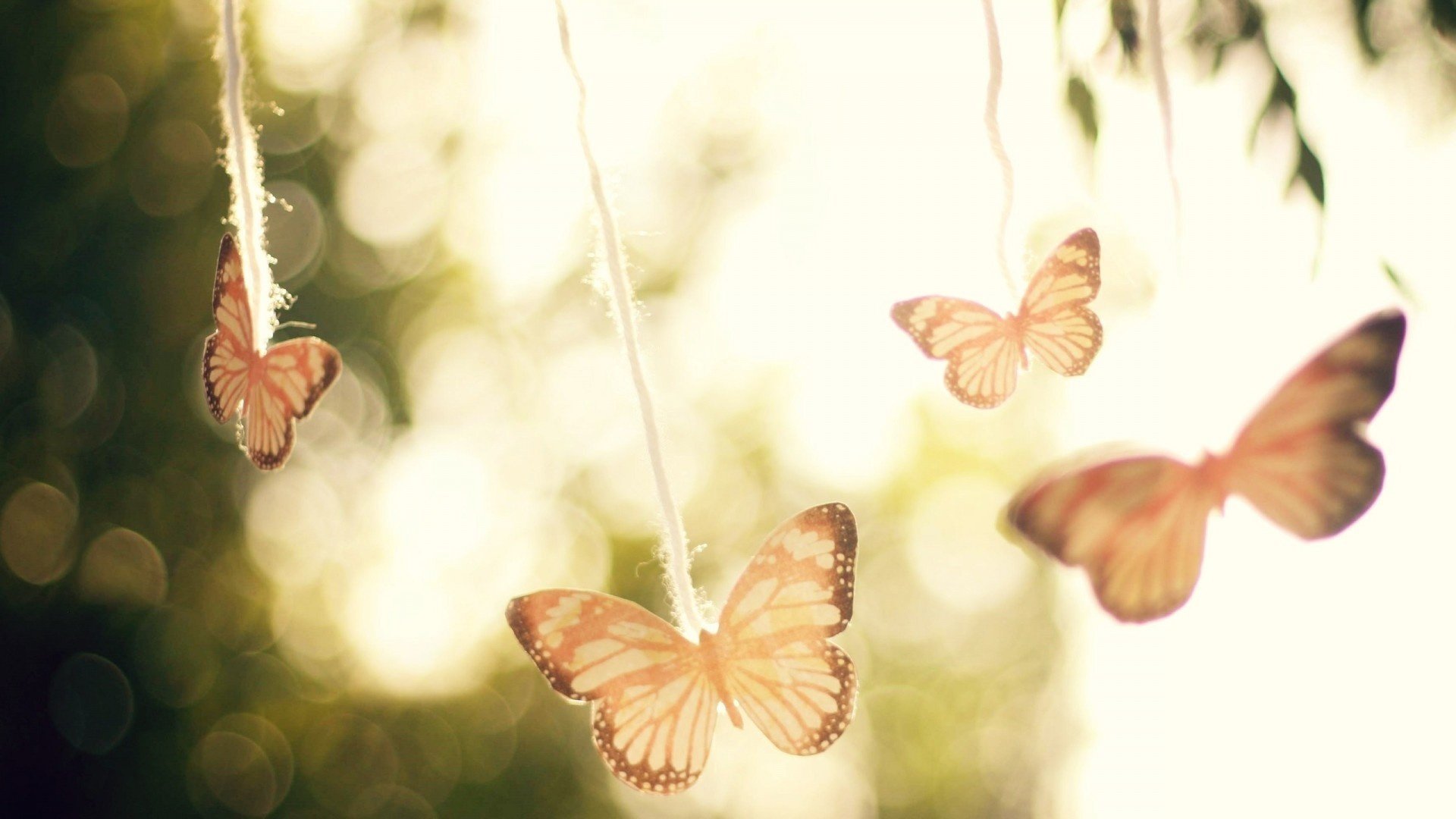 mariposas suavidad ligereza aire luz