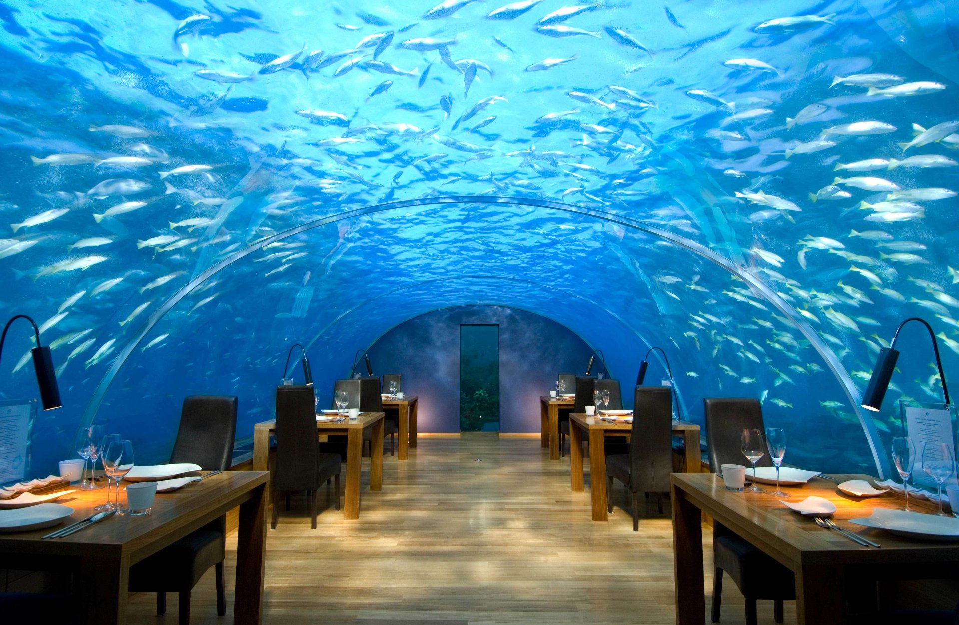 interior style design hotel maldives restaurant underwater hilton rangali