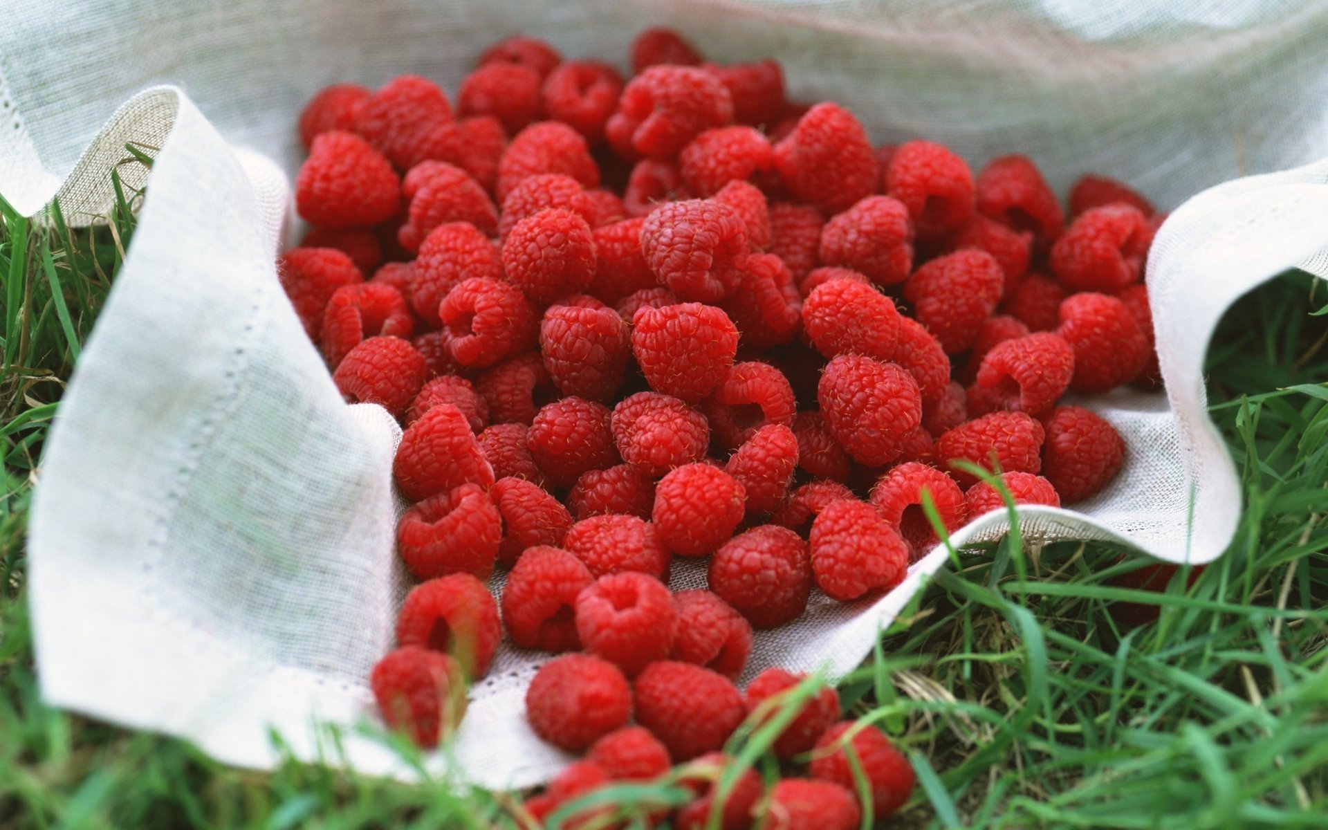 été framboise herbe baie