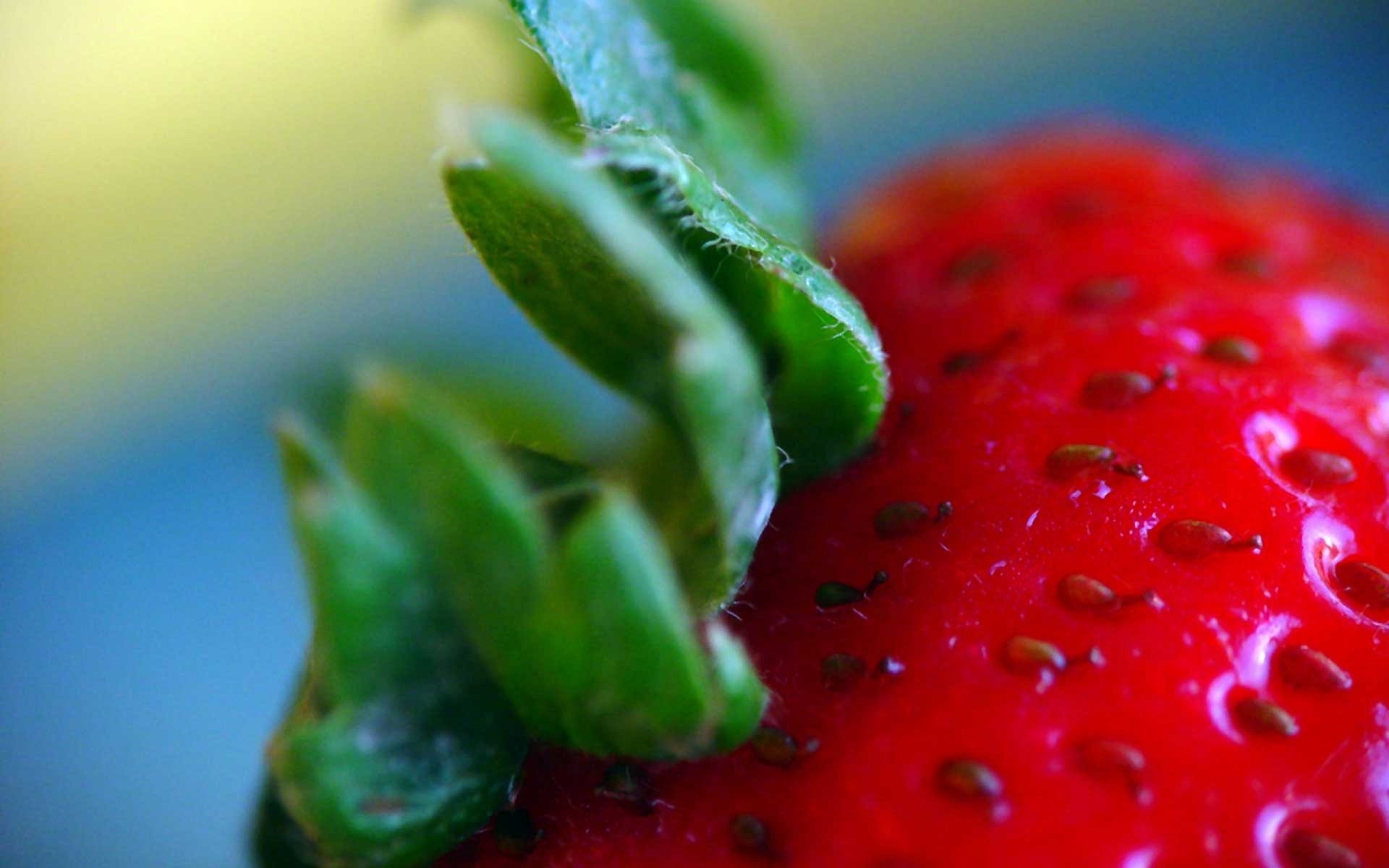 pédoncule fraise baie rouge juteux tentation été