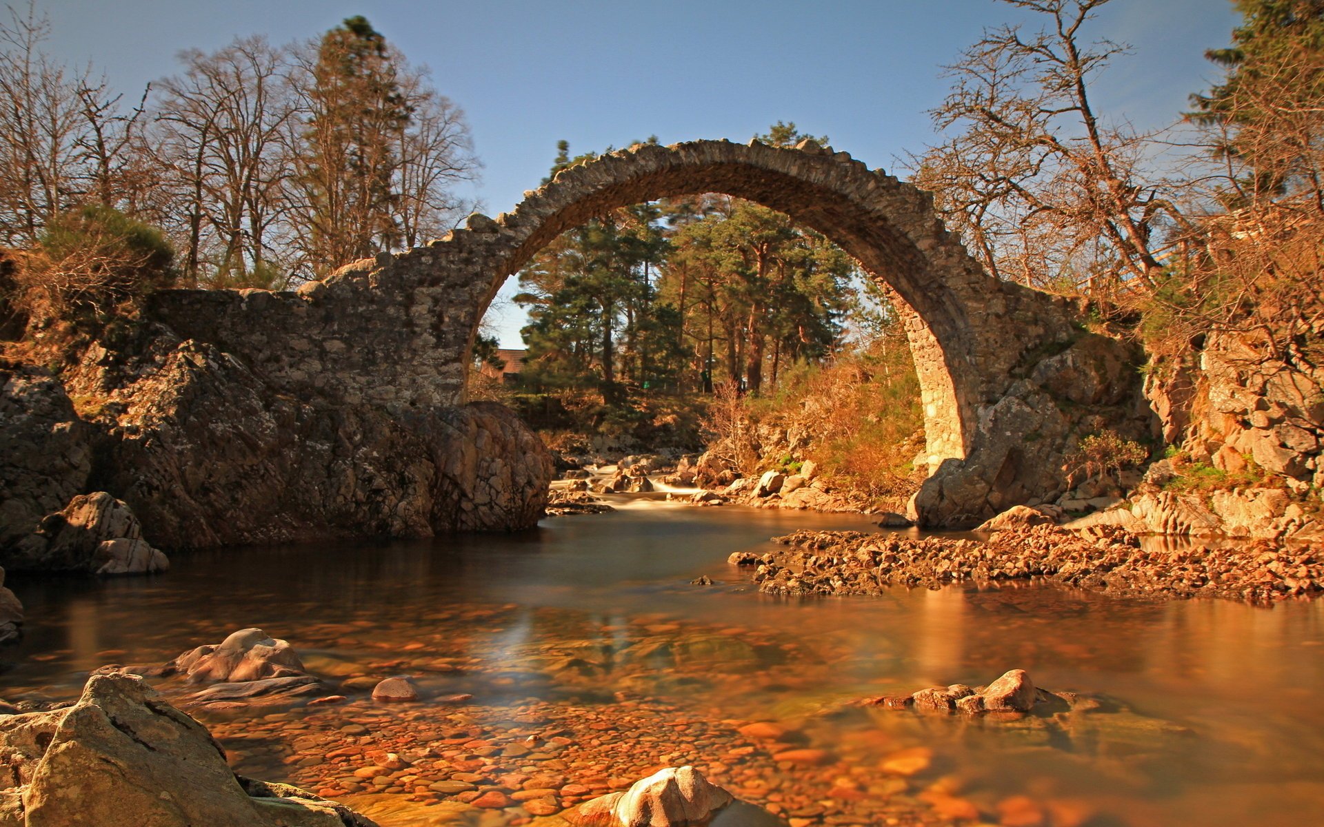 rzeka natura most