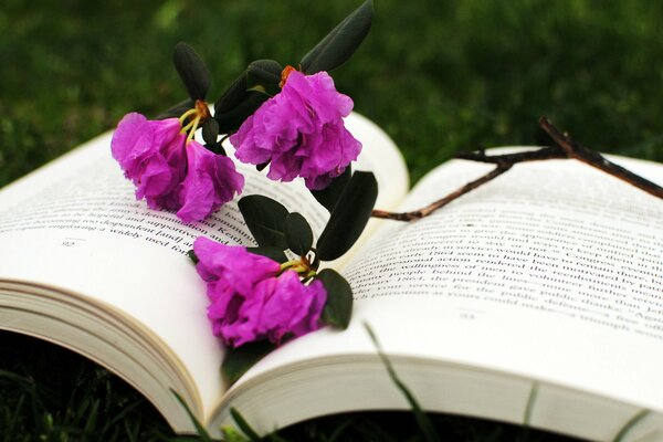 A great bookmark of flowers for a book