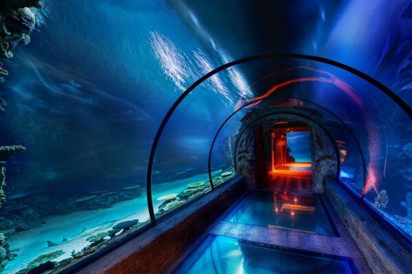 Projekt hotelu Pod wodą w neonowym oświetleniu