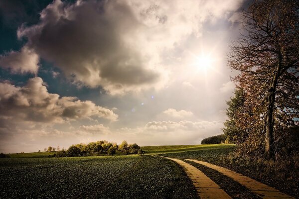 A path in a mountainous area, not in the clouds