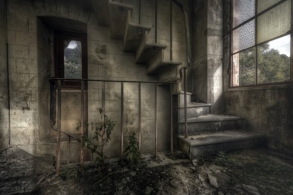 Total oscuridad y ruina. Casa abandonada