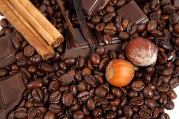 Still life of coffee beans, nuts, cinnamon sticks and chocolate