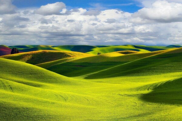 Prato con colline e cielo diurno con nuvole