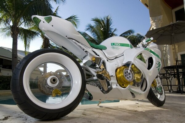 White yamaha motorcycle under a palm tree