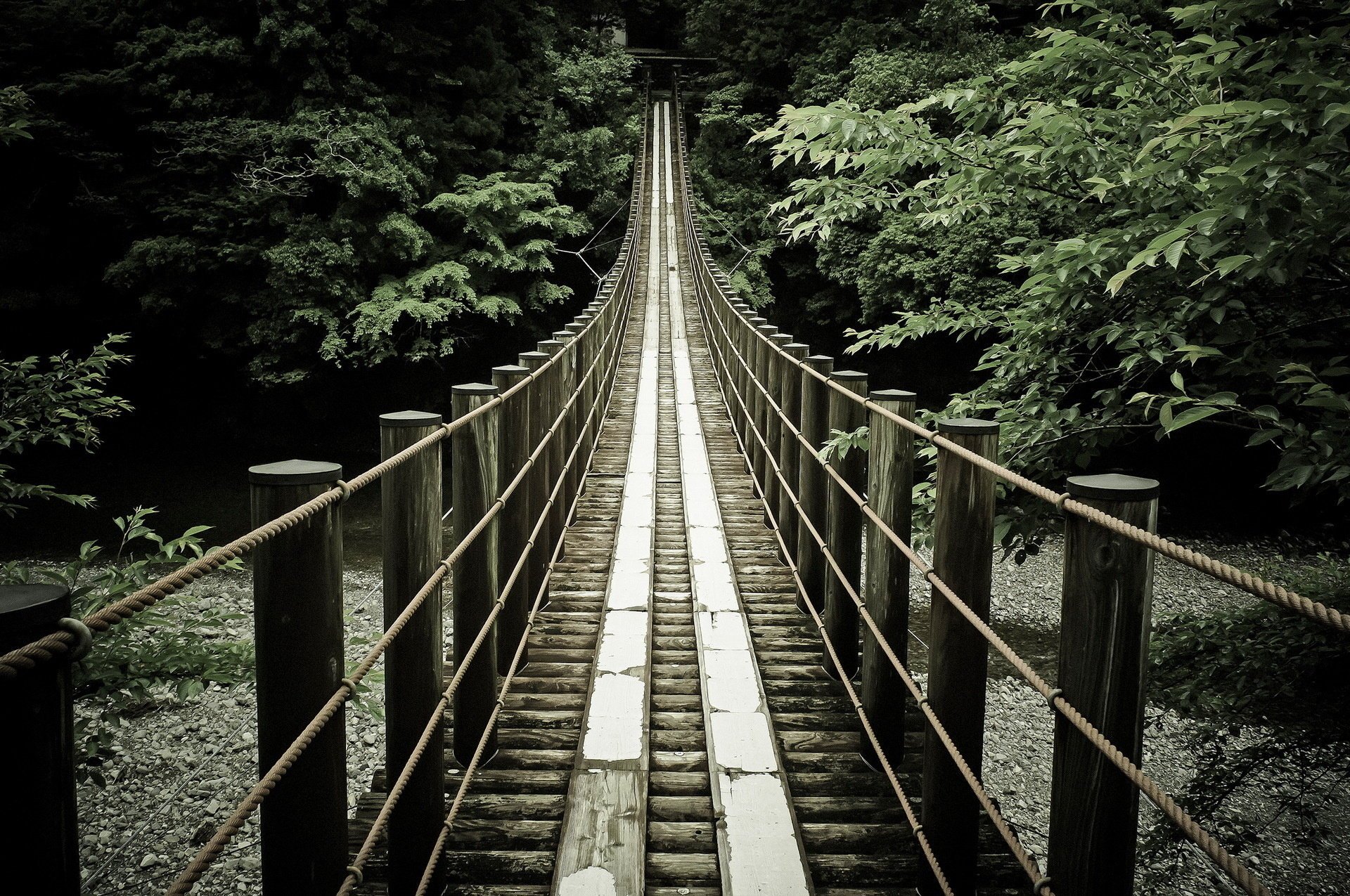 bridge nature river background