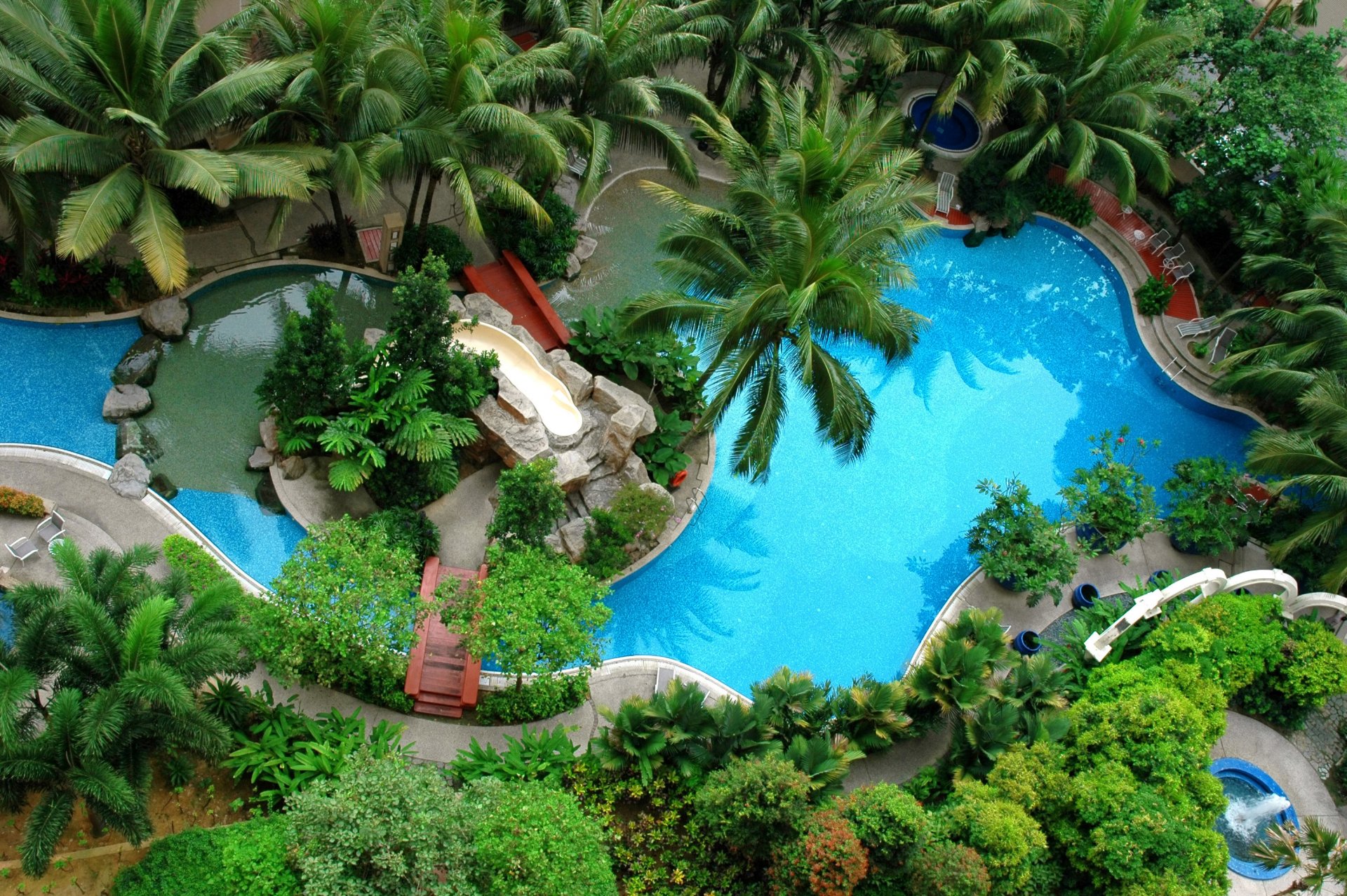 piscine piscines extérieur palmiers pierres toboggan jacuzzi fauteuils