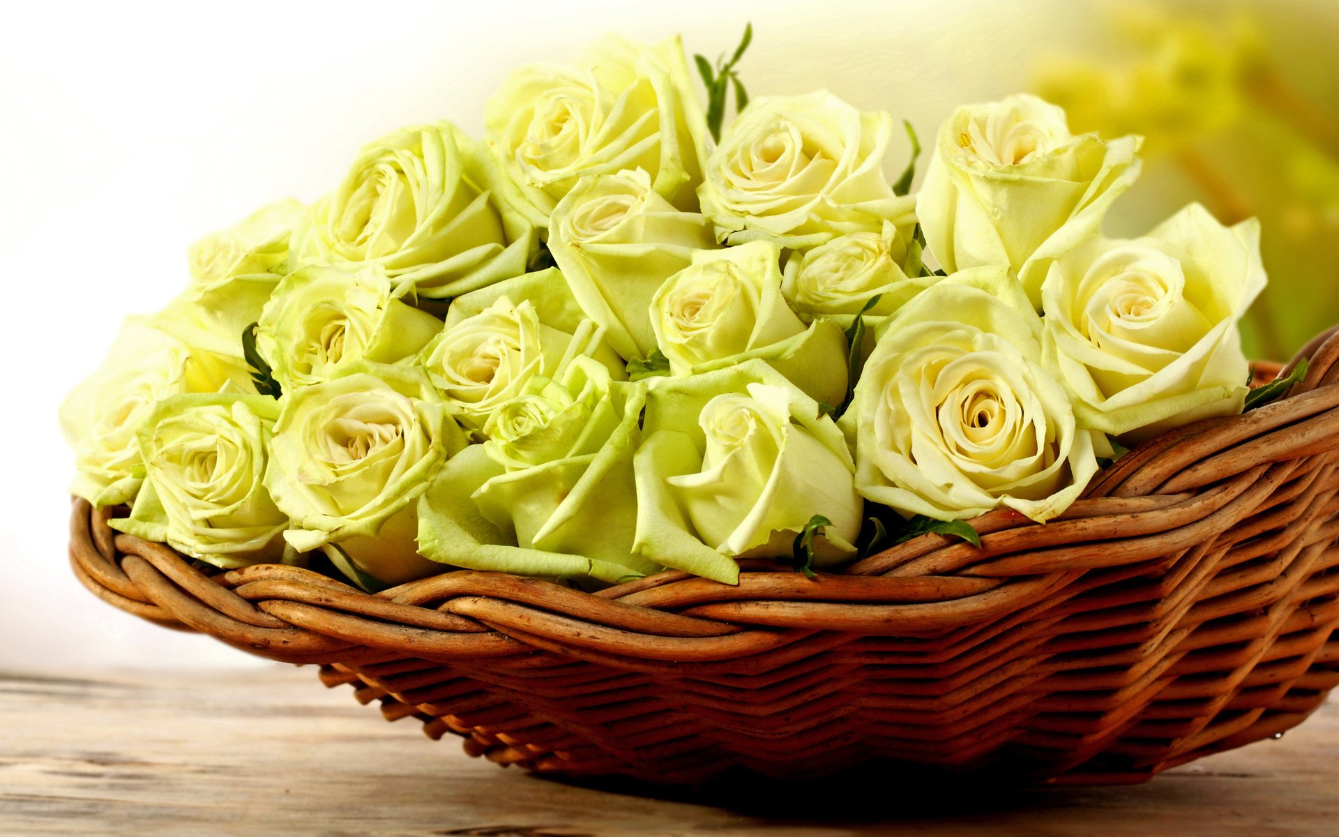 fleurs roses tendresse panier roses jaunes roses