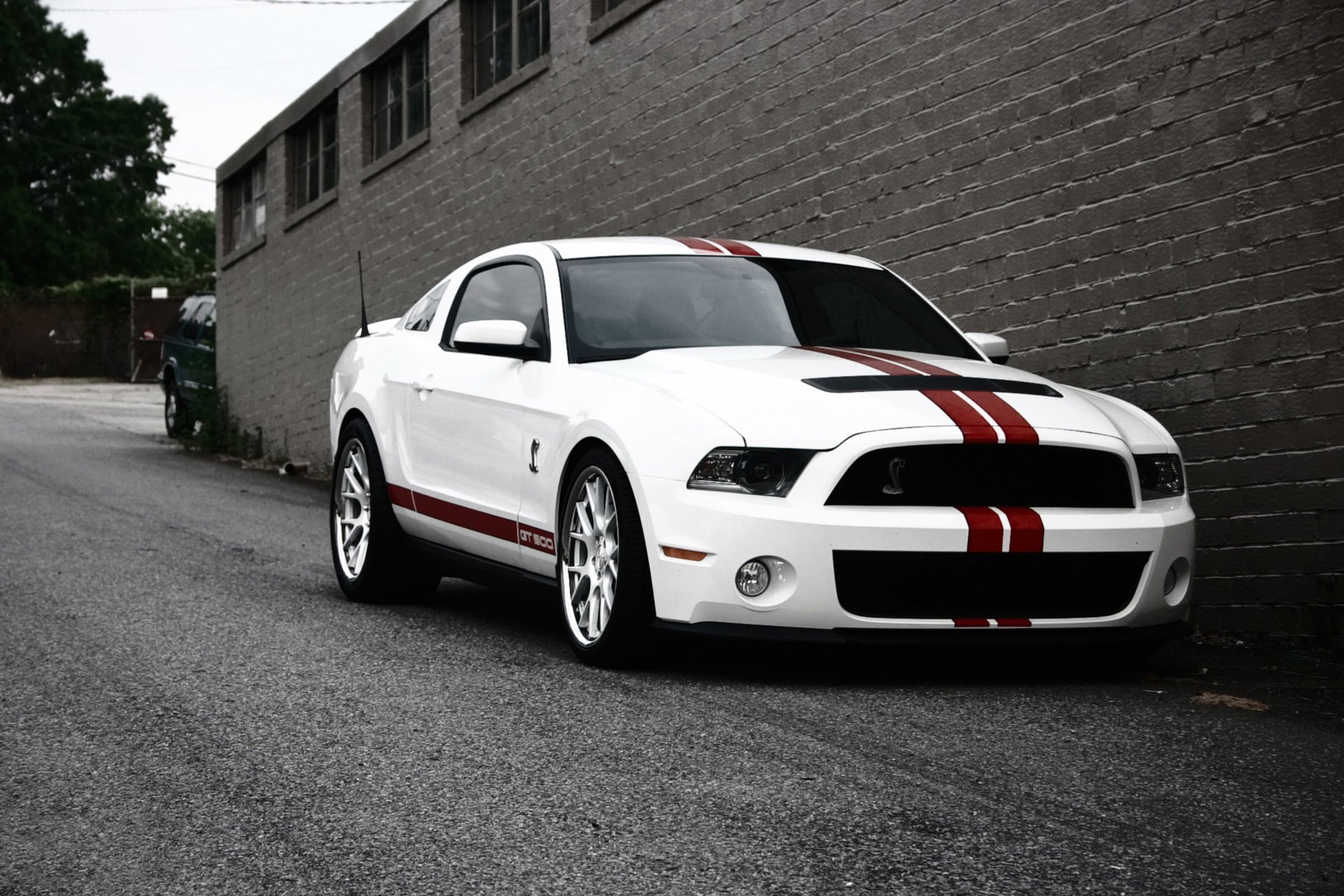 white strip red stripes ford gt500 on road mustang shelby