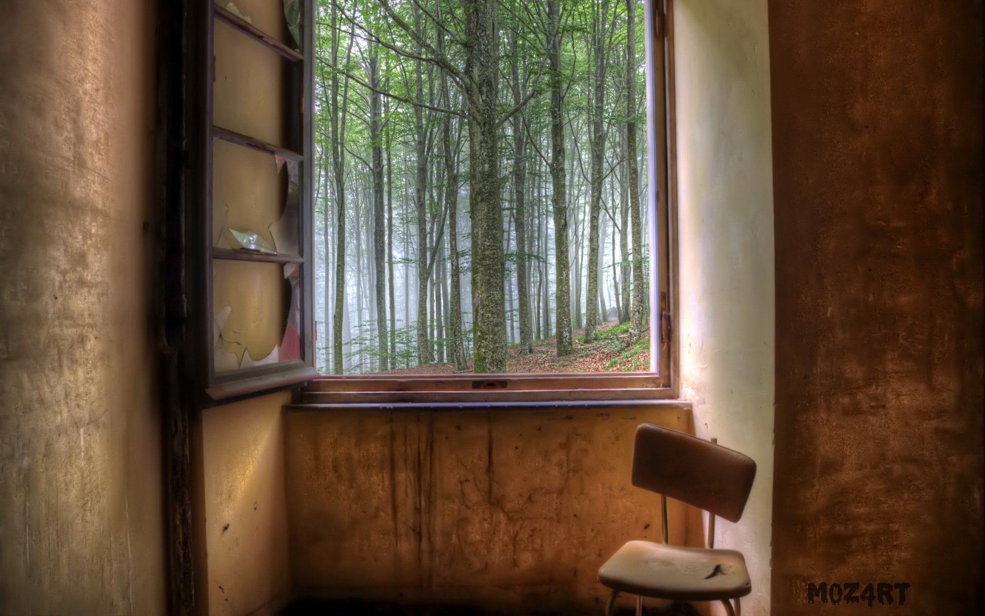 chambre fenêtre forêt