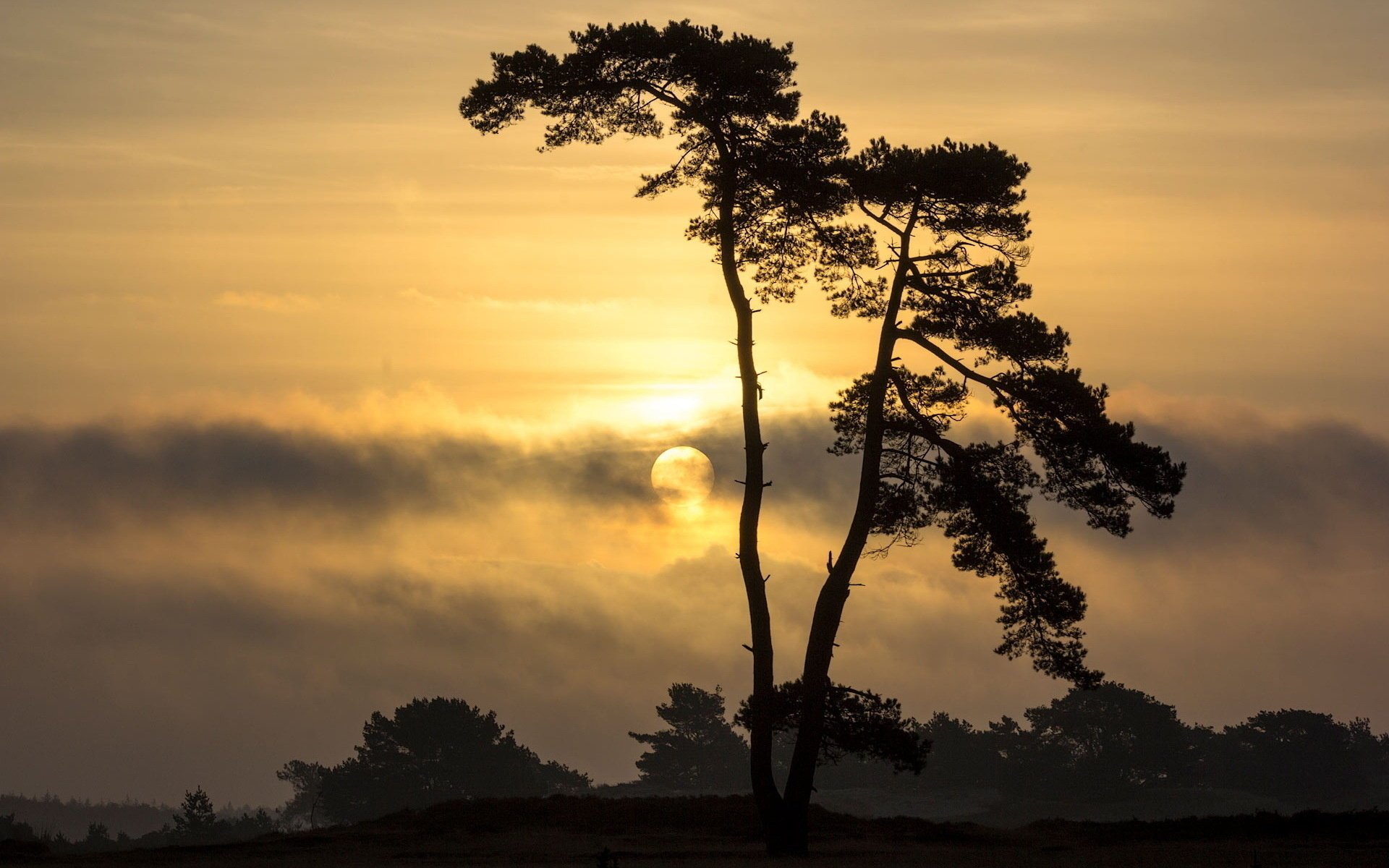 baum himmel landschaft