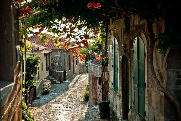 An unusual street among houses in France