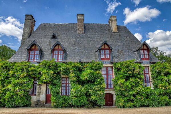 Maison moderne avec de grandes fenêtres! Toit et façade insolites