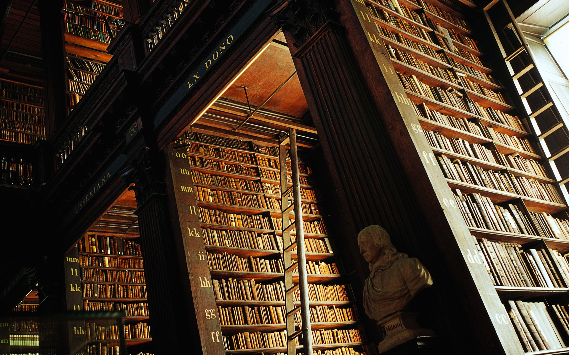 bibliothèque échelle livres étagères bibliothèque trinity college