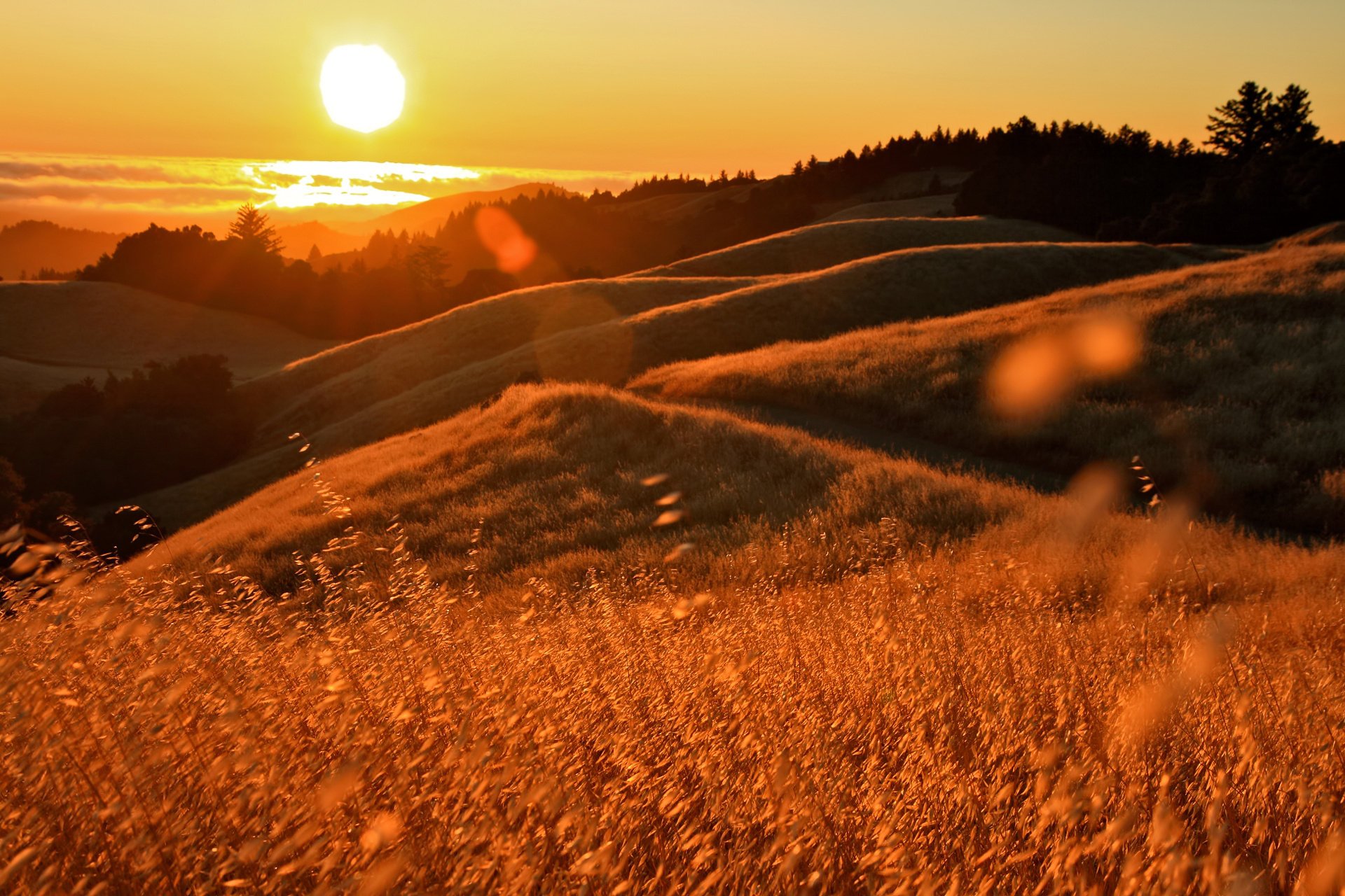 tramonto luci erbe california oceano colline sole