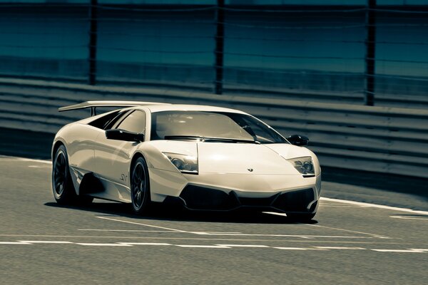 Lamborghini murcielago white on the road