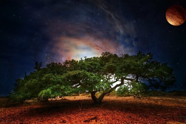 Alien landscape of nature from kosmas