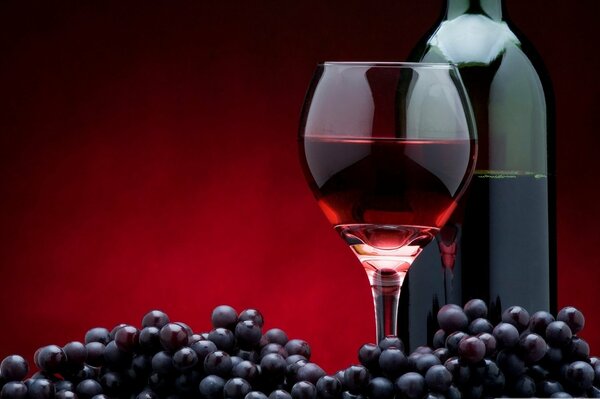 Ruby drink in a glass among grapes