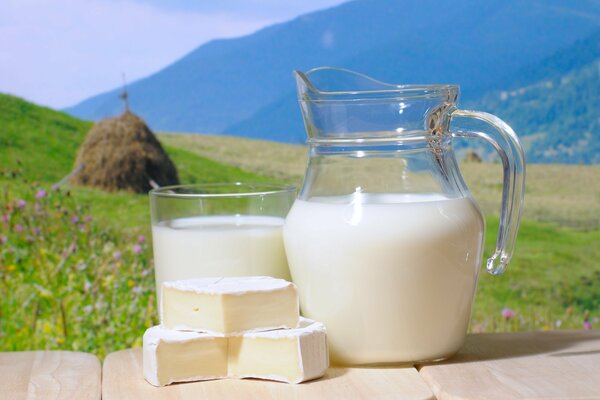 Against the background of mountains and meadows in a jug of milk and brie