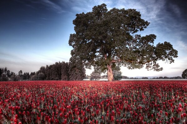 Floral after with a tree in the middle