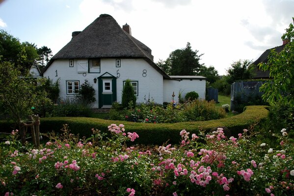 Interessantes Haus mit kleinen Fenstern und Rosen