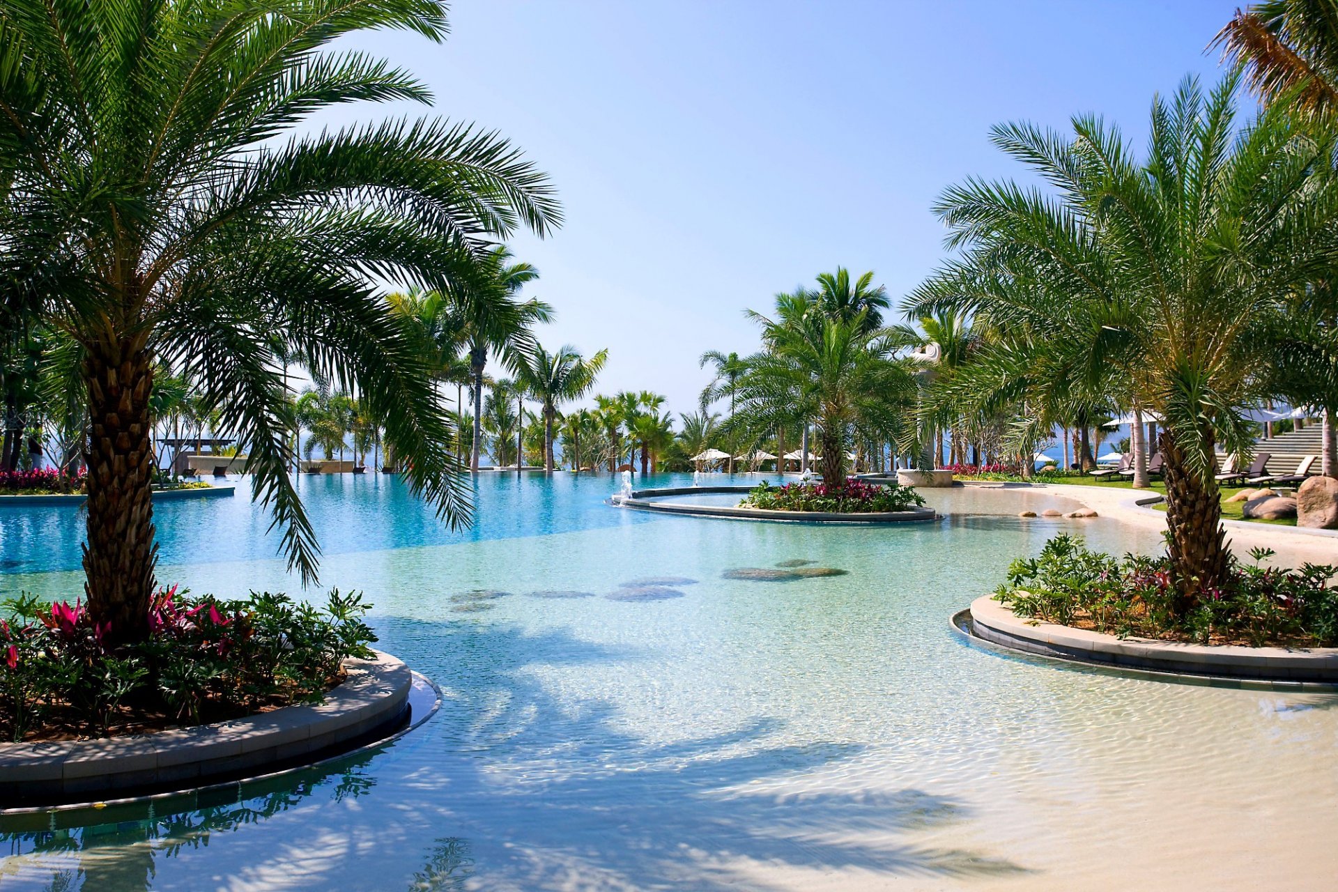 exterior pool palm tree flower chairs resort sanya