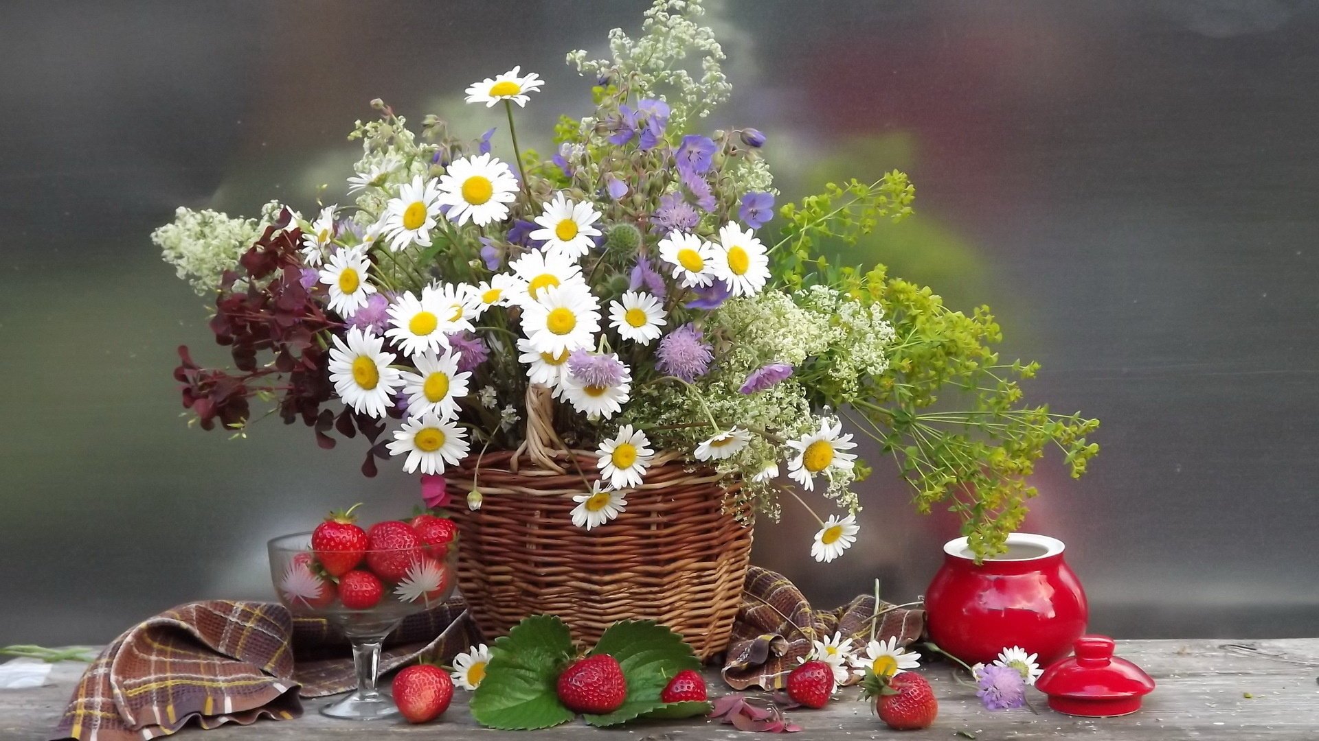 fleurs marguerites fleur panier panier bouquet