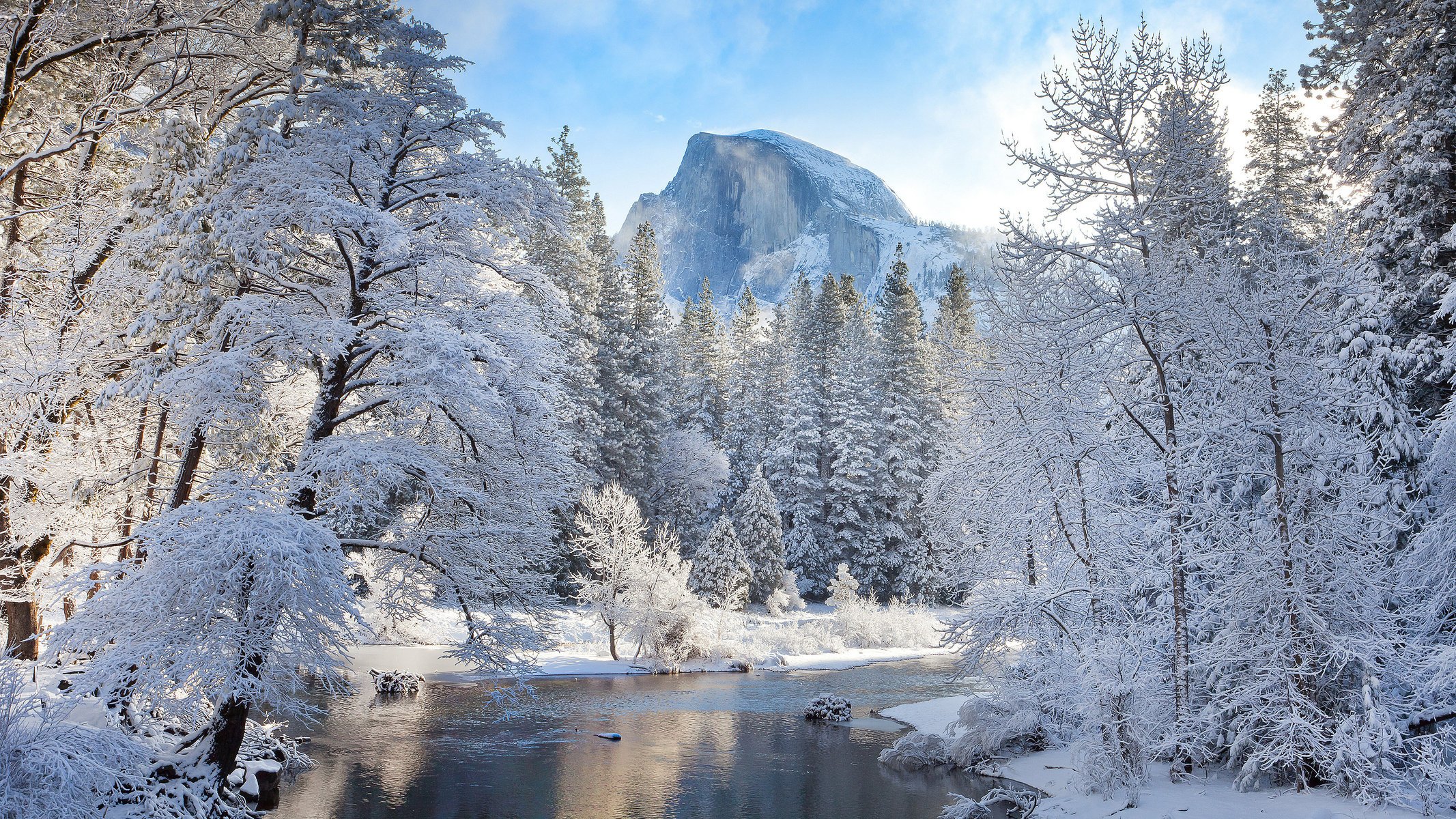 bosque invierno nieve árboles