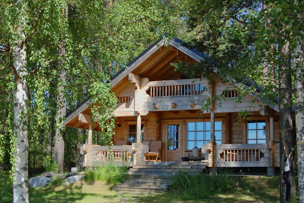 Wooden house in the birch forest